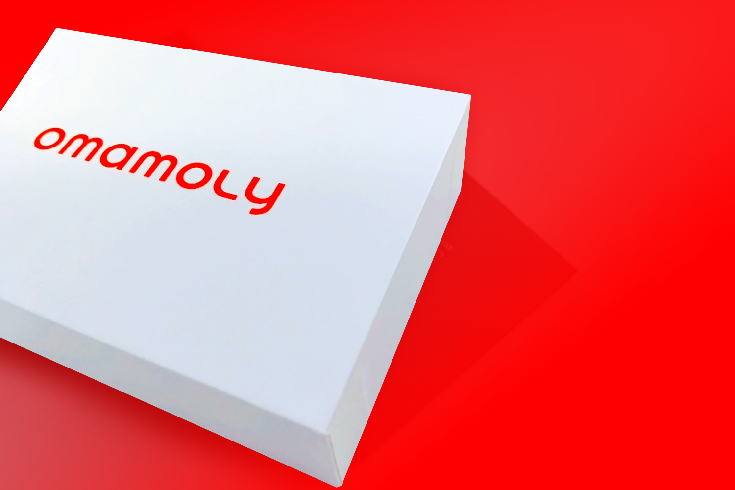 パスケース型IoT箱 omamori（おまもり）