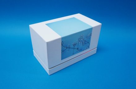 インロー貼り箱　グラスのパッケージ　ペアグラス　カスミソウの写真　ホログラム紙